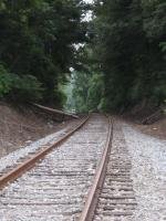 "Ecusta"  Corridor Near Hendersonville