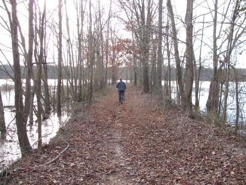 View of Jordan Lake from Eagle Spur Trail