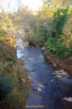 View of Little Elkin Creek from Elkin River Rail-Trail