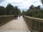 Users Inspecting Bridge Over Northeast Creek on ATT in Chatham County