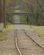 Stewart Creek Greenway in Charlotte